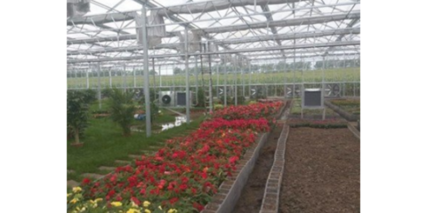 谷城特色農(nóng)業(yè)信息咨詢服務(wù) 賦能鄉(xiāng)村振興，創(chuàng)造產(chǎn)業(yè)輝煌