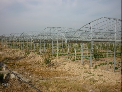 源農(nóng)溫室 專業(yè)溫室大棚銷售、安裝與維修服務(wù)